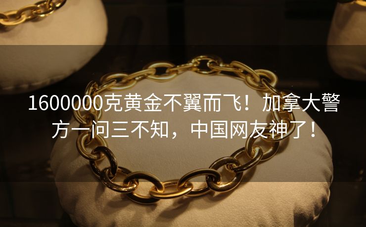 1600000克黄金不翼而飞！加拿大警方一问三不知，中国网友神了！